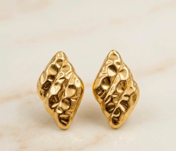 762762933_1014563241645098_1330722336873085426_n 18k Gold Plated Earring