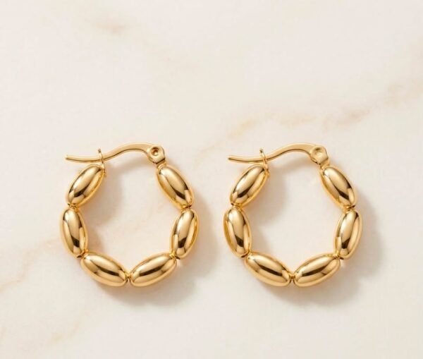 765198178_1855941495770612_2093389219646003396_n 18K Gold Plated Earring